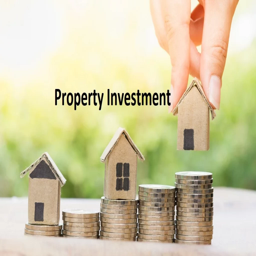 Property Investor 0