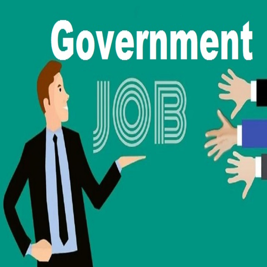 Government Job 0